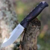 Benchmade Saddle Mountain Skinner - Wood (4.20"GH CPM-S30V) 15004 -Benchmade Shop 15004 06716.1596477333